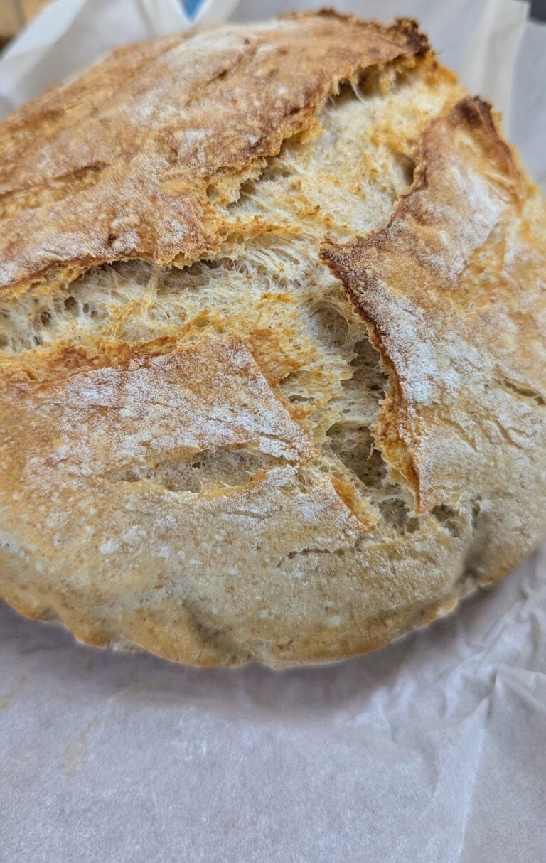 homemade sour dough