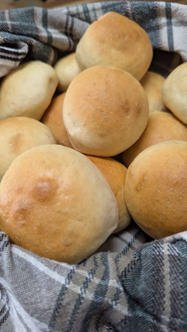 easy homemade hamburger buns (2)