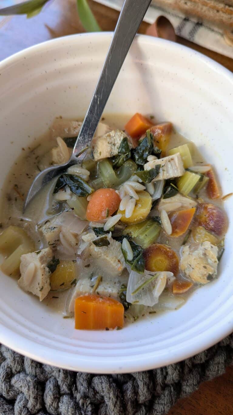 slow cooker orzo and chicken soup