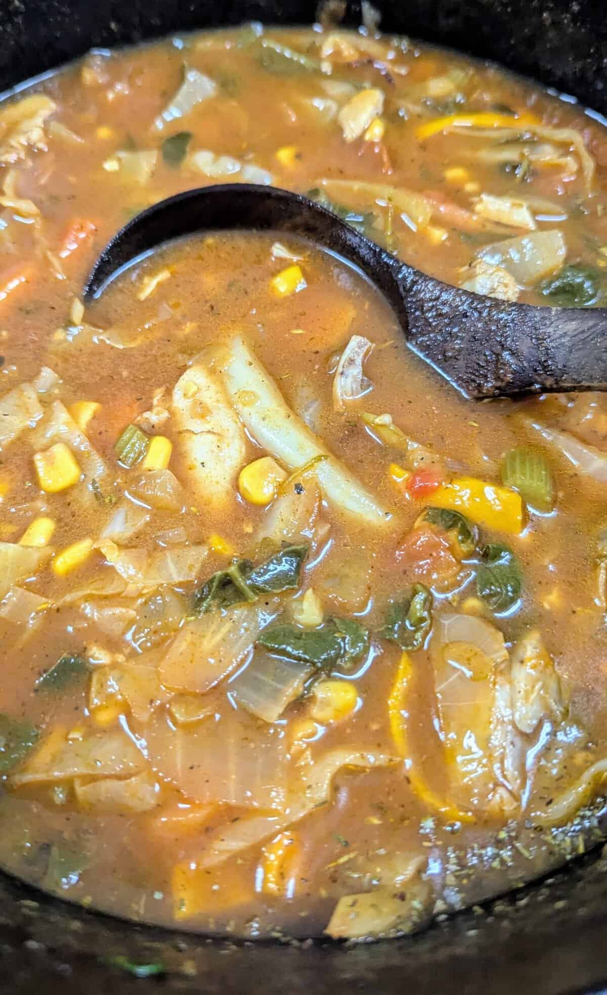 cabbage chicken soup
