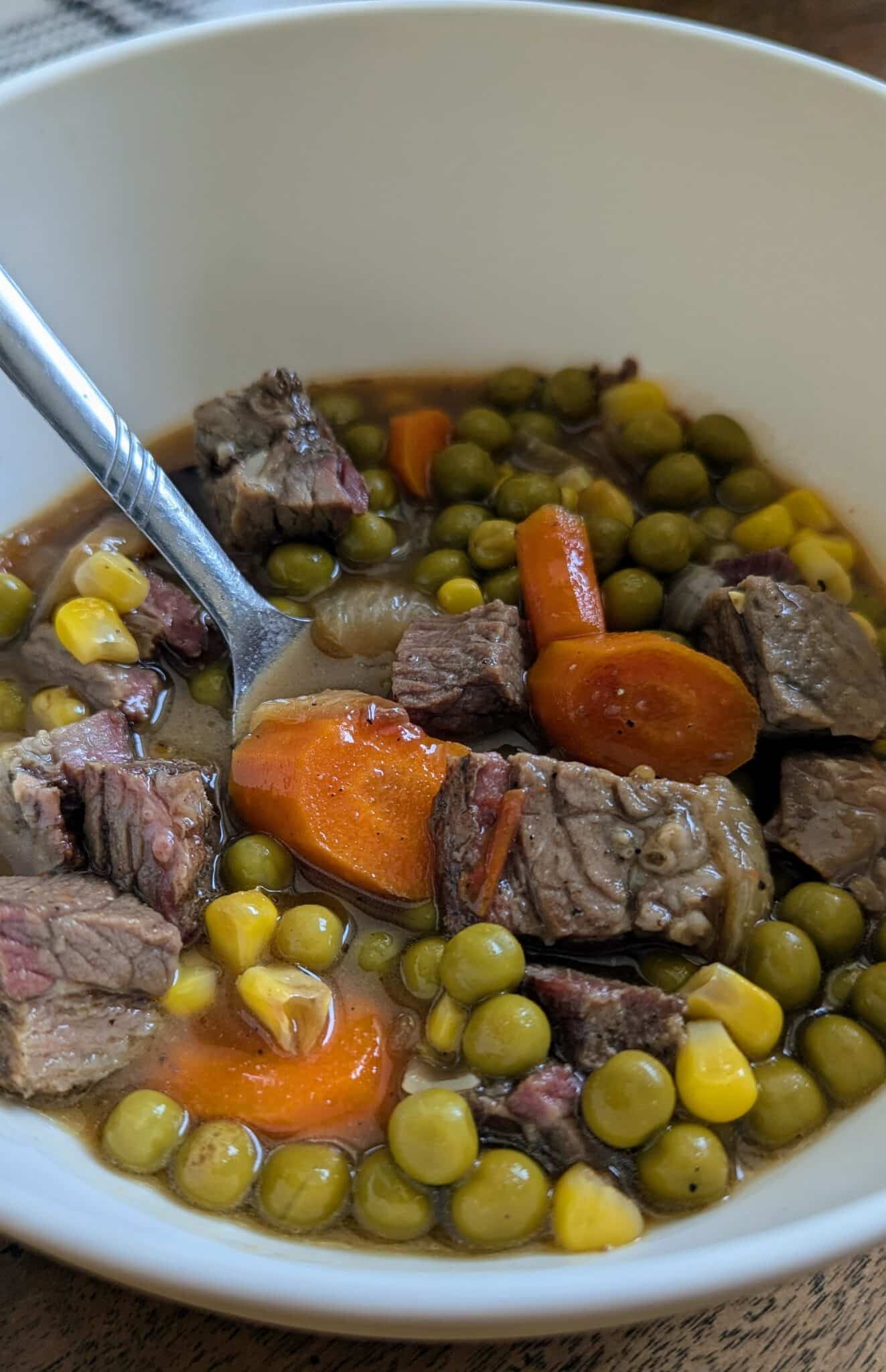 leftover brisket stew